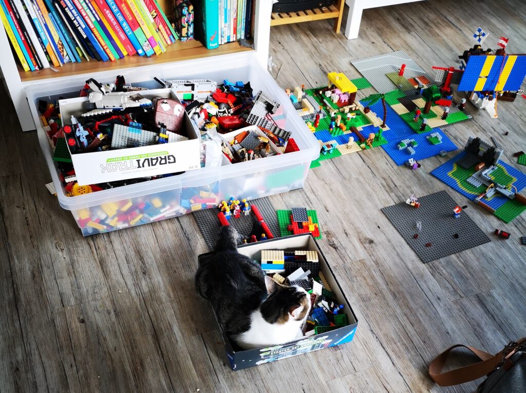 LEGO, building, creativity, Minecraft, cat in a box
