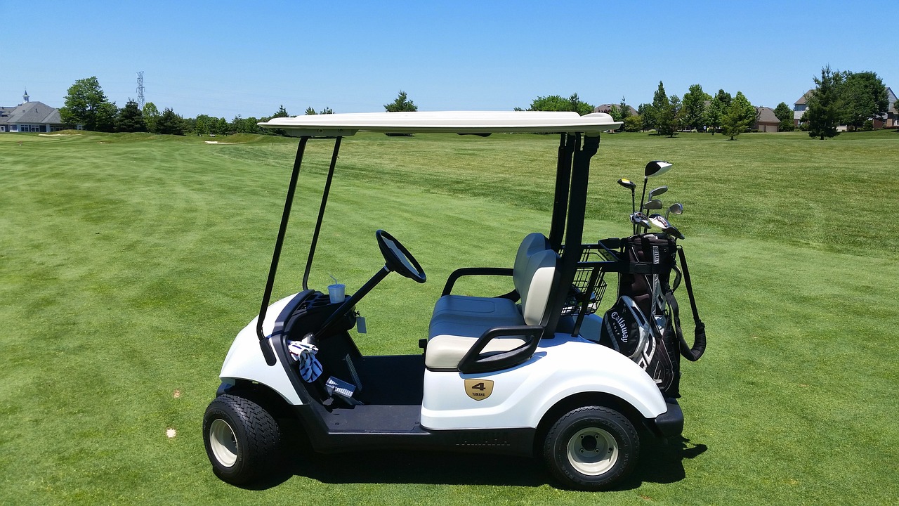 golf cart, nature, grass-756048.jpg